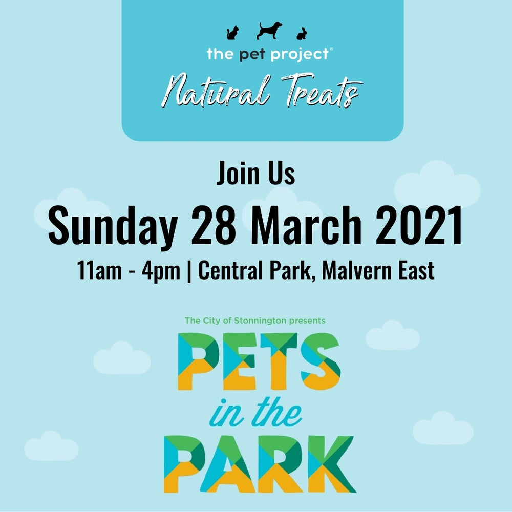 Pets In The Park
