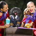 Virgin Australia signals intent to launch nation's first-ever pets in cabin flights.