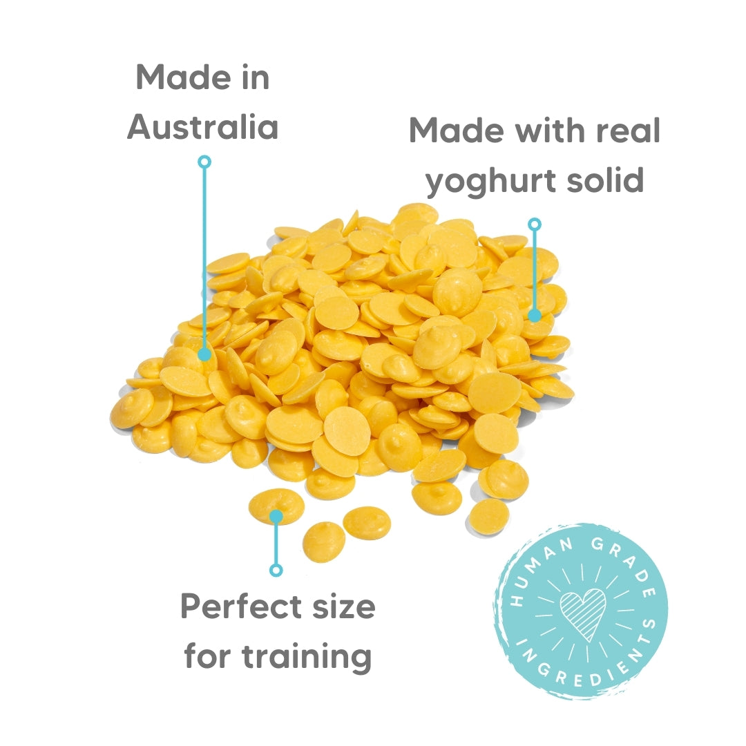 Banana Yogurt Drops for Dogs 100 Natural, Healthy Treats The Pet