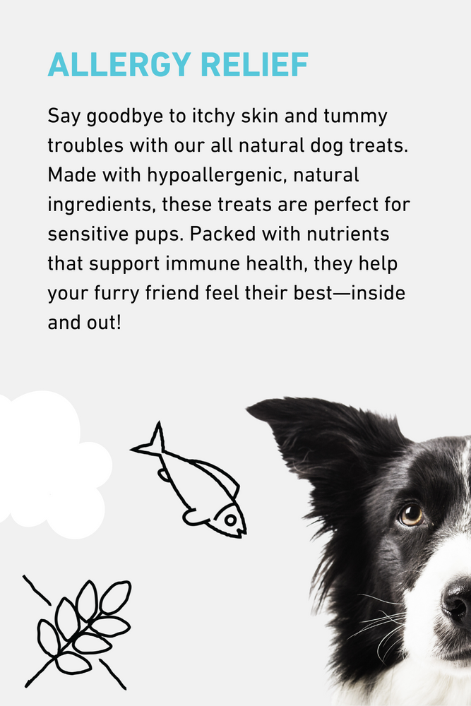 Allergy Relief Dog Treats | Natural & Australian-Made – The Pet Project