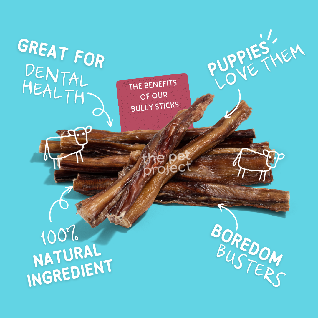 Natural Bully Stick Dog Treats - Single Ingredient | The Pet Project