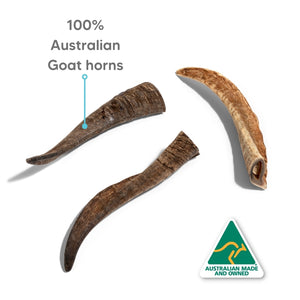 NATURAL WHOLE GOAT HORN